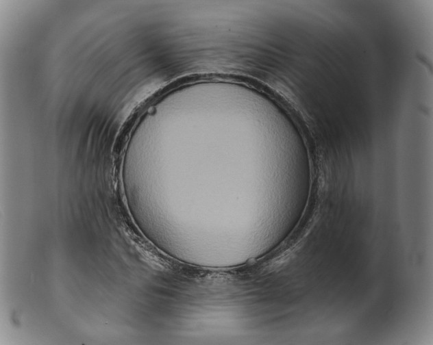 X0000099450974200805231737