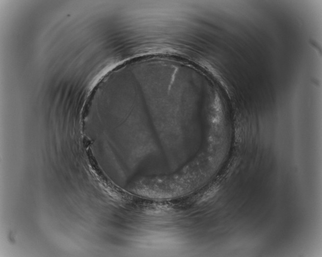 X0000099450975200805231737