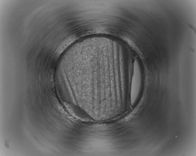 X0000099450977200805231737