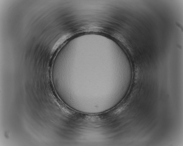 X0000099450978200805231737