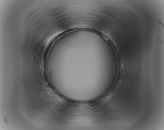 X0000099450979200805231737