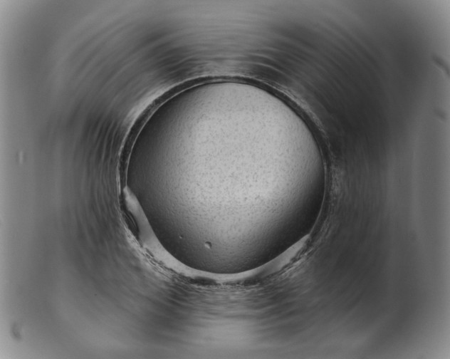 X0000099450980200805231737