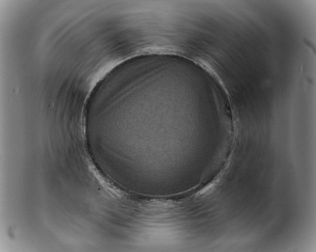 X0000099450981200805231737