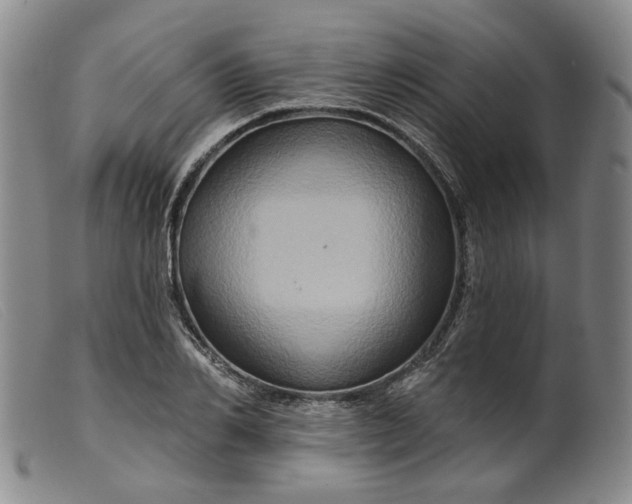 X0000099450982200805231737