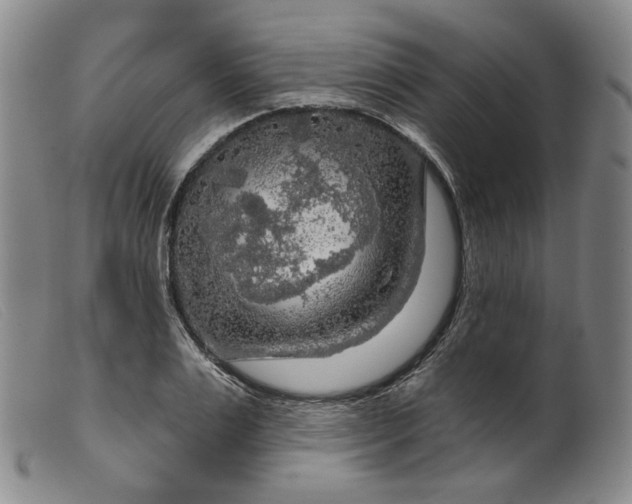 X0000099450983200805231737