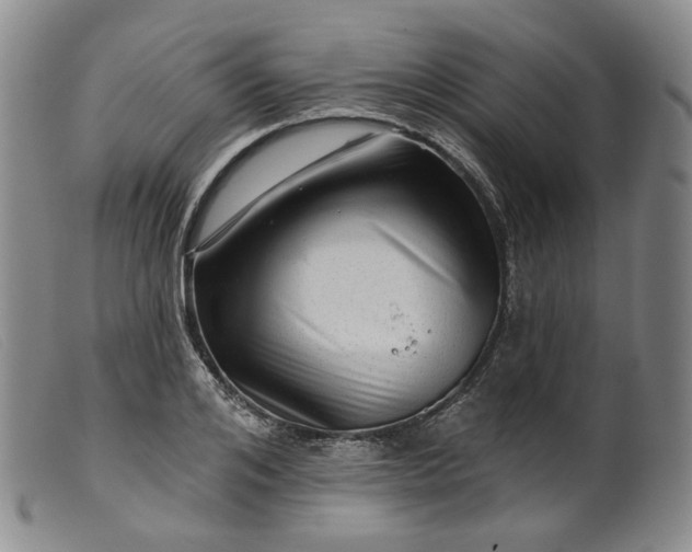 X0000099450984200805231737