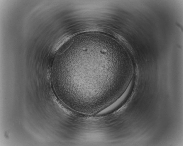 X0000099450985200805231737