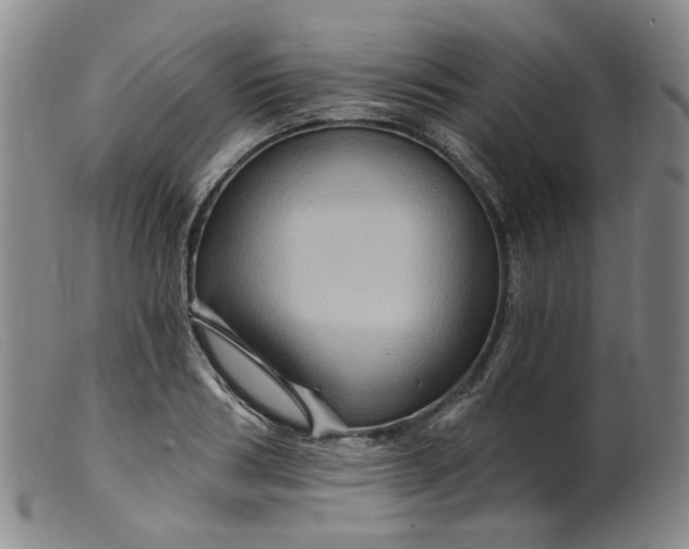 X0000099450986200805231737