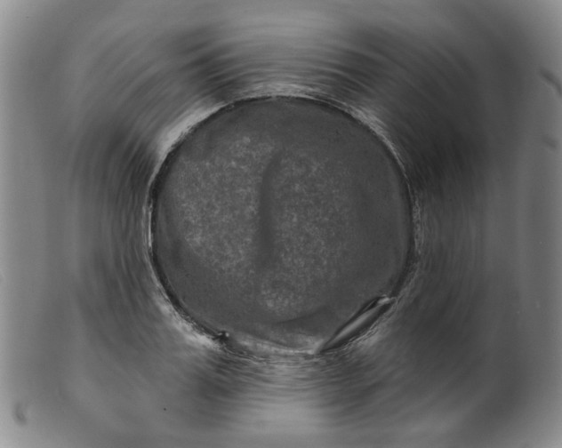 X0000099450987200805231737