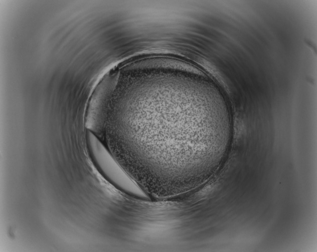 X0000099450988200805231737