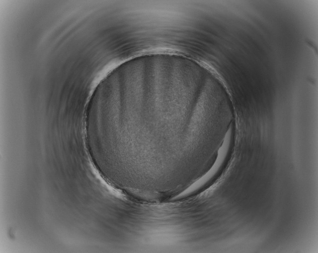 X0000099450989200805231737