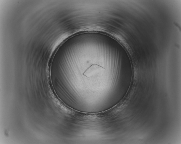 X0000099450990200805231737