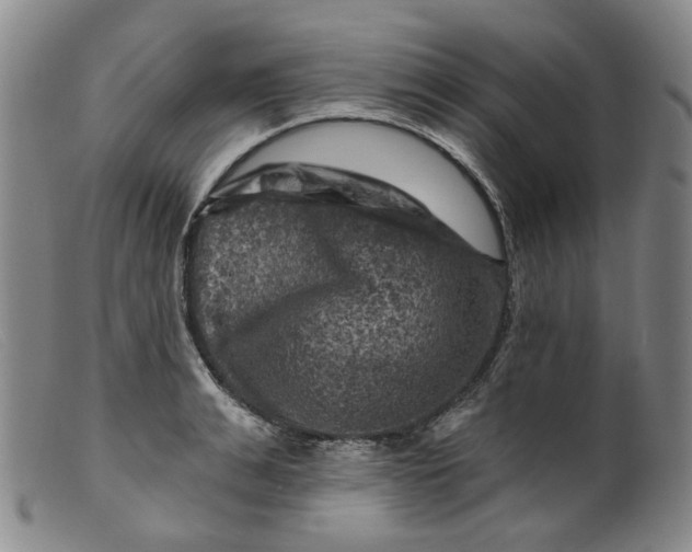 X0000099450991200805231737