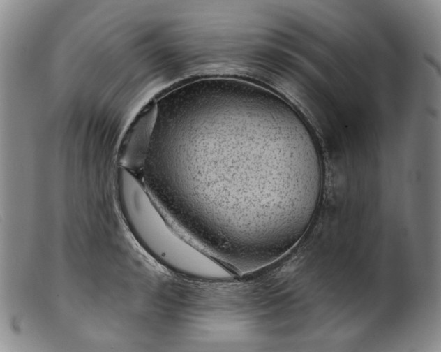 X0000099450992200805231737