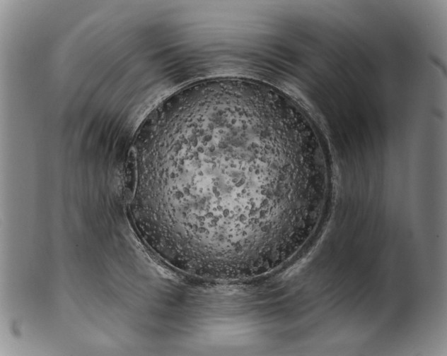 X0000099450993200805231737