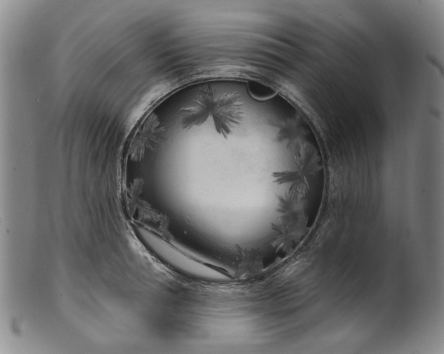 X0000099450994200805231737