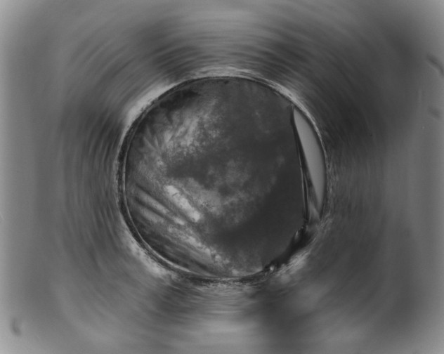 X0000099450995200805231737