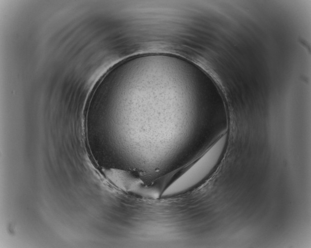 X0000099450996200805231737