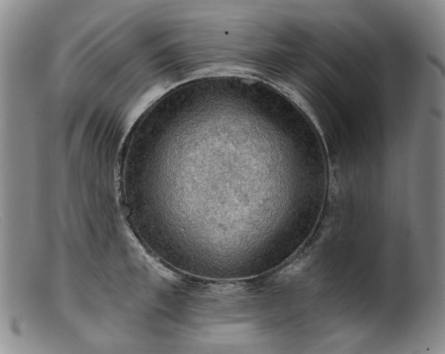 X0000099450997200805231737