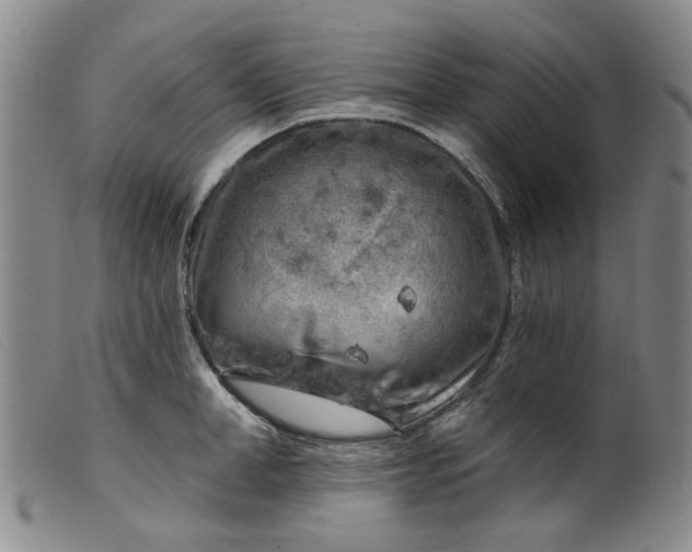 X0000099450998200805231737