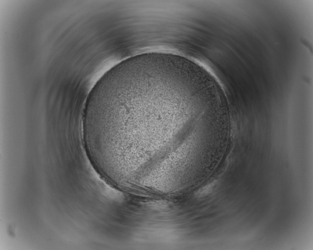 X0000099450999200805231737