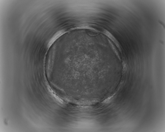 X0000099451002200805231737