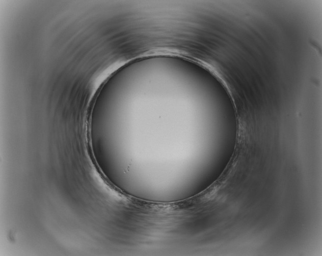 X0000099451003200805231737