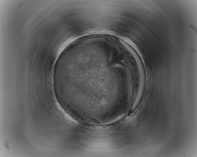 X0000099451005200805231737