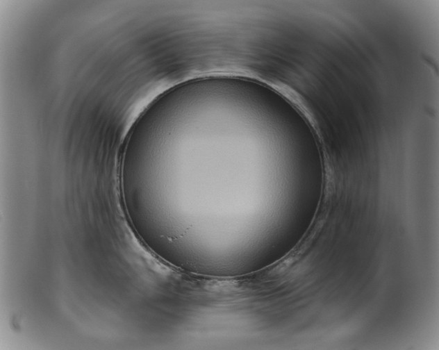 X0000099451006200805231737