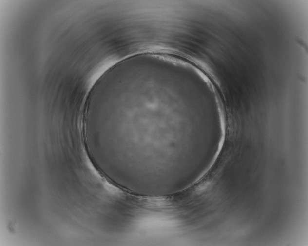 X0000099451007200805231737