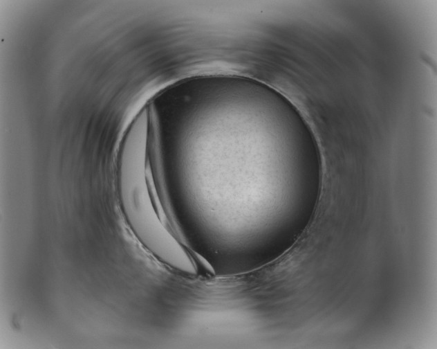 X0000099451008200805231737