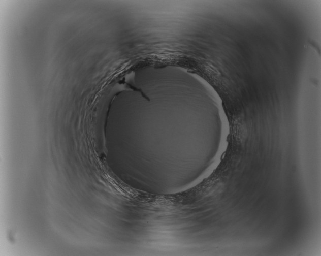 X0000099451009200805231736