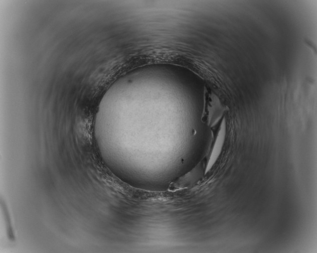 X0000099451010200805231736