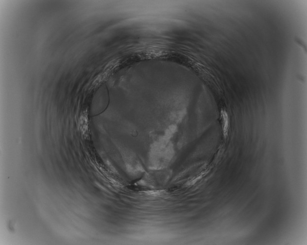 X0000099451011200805231736