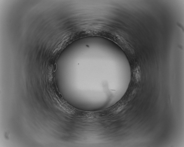 X0000099451012200805231736