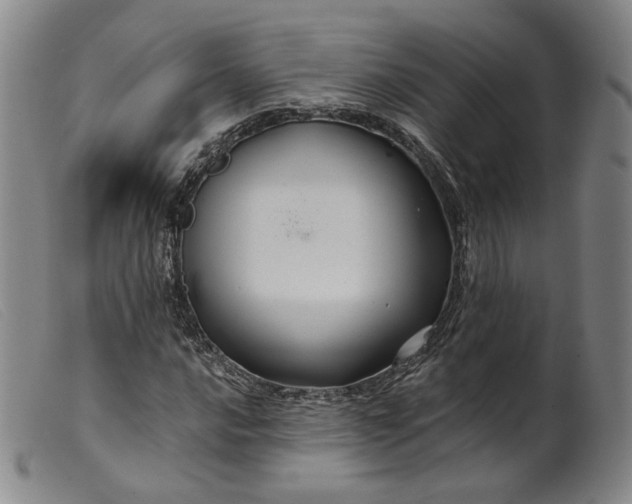 X0000099451016200805231736