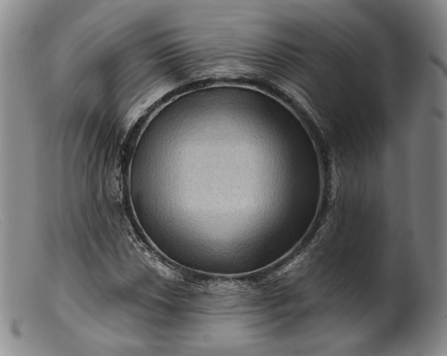 X0000099451018200805231736