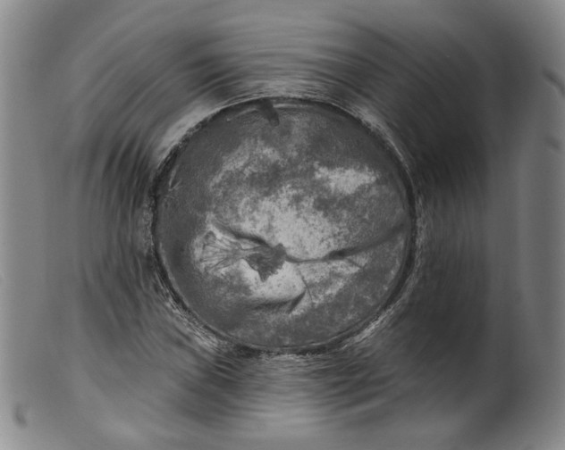 X0000099451019200805231736