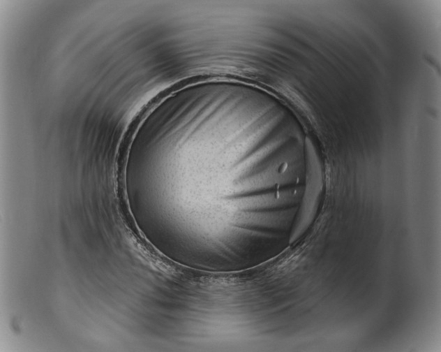 X0000099451020200805231736