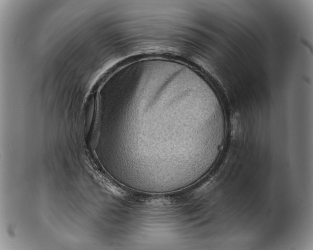 X0000099451021200805231736