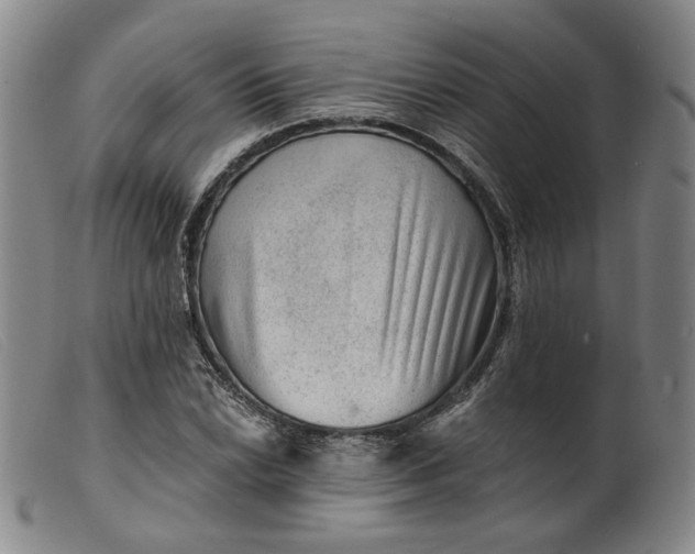 X0000099451022200805231736