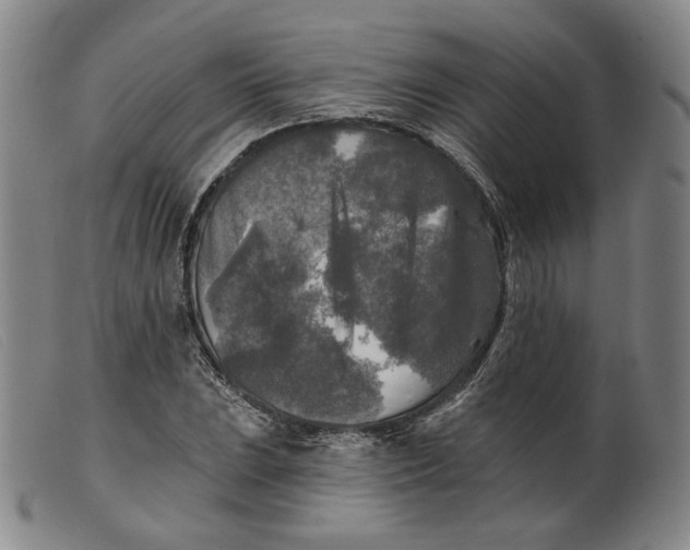 X0000099451023200805231736