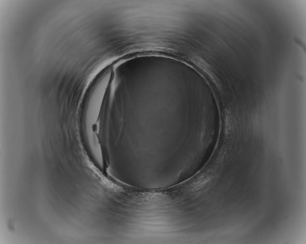 X0000099451024200805231736