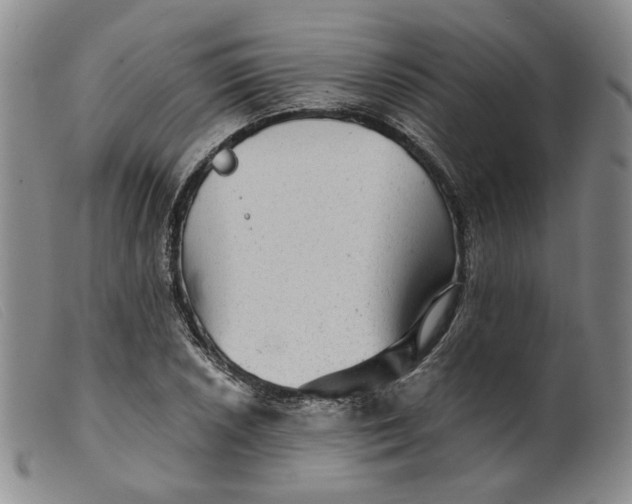 X0000099451026200805231736