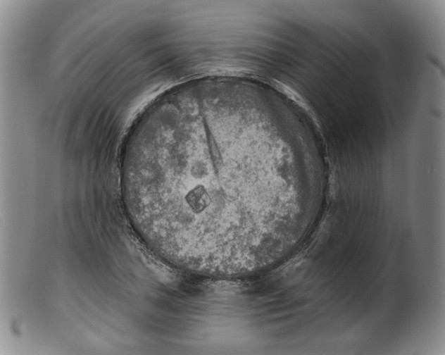 X0000099451027200805231736