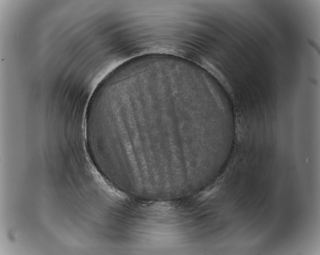 X0000099451028200805231736