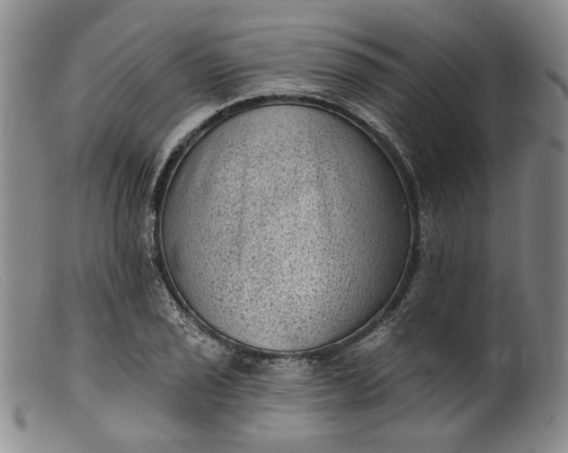 X0000099451029200805231736