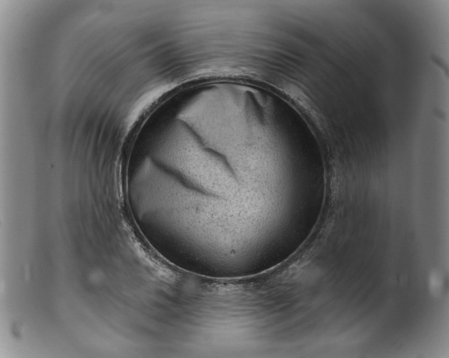 X0000099451030200805231736