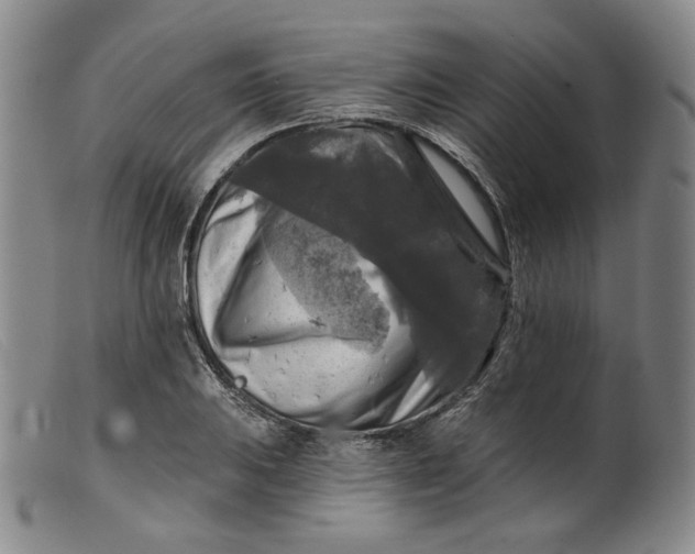 X0000099451031200805231736