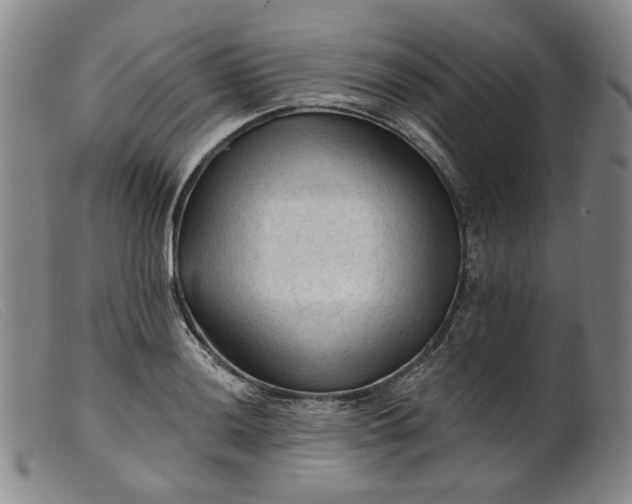 X0000099451036200805231736